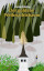 'Der goldene Weihnachtsbaum' Cover